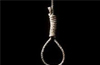 Suspected suicide pact : 2 brothers found hanging from tree